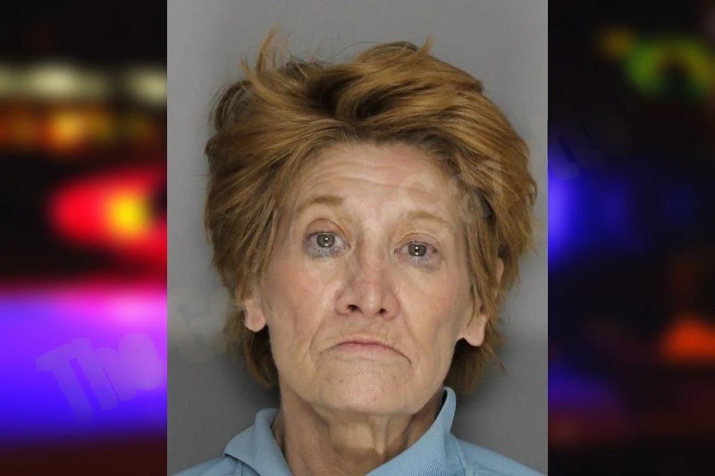 Sherry Shea Mugshots