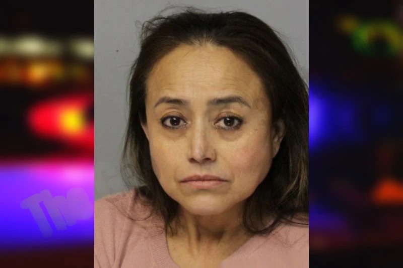 Silvia Porcayo mugshot