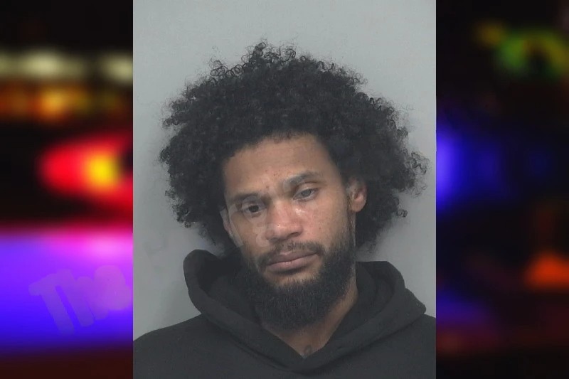 Simon El-Housseini Mugshots