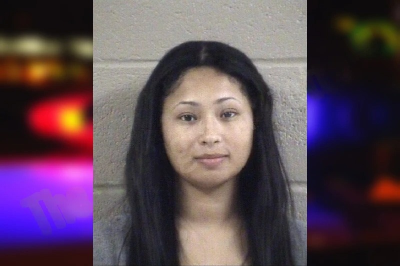 Sinai Solis-Gomez mugshot