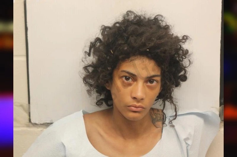 Solmary Diaz mugshot – Chatham County , Georgia Solmary Diaz mugshot