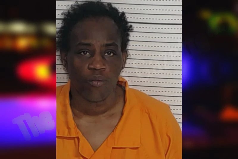 Sonya Stephens Mugshots