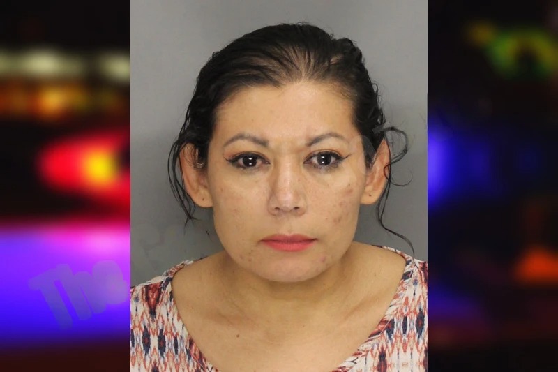 Soraida Martinez mugshot
