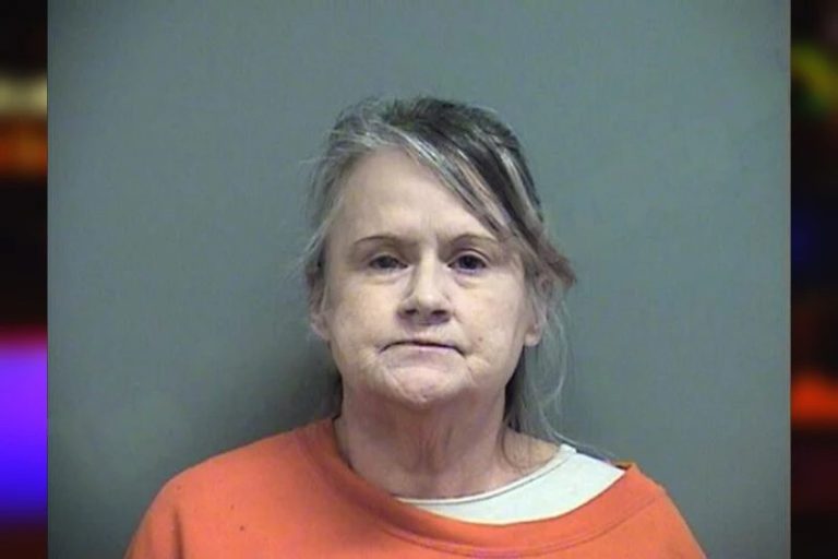 Stacey Sapp mugshot – Effingham County , Georgia Stacey Sapp