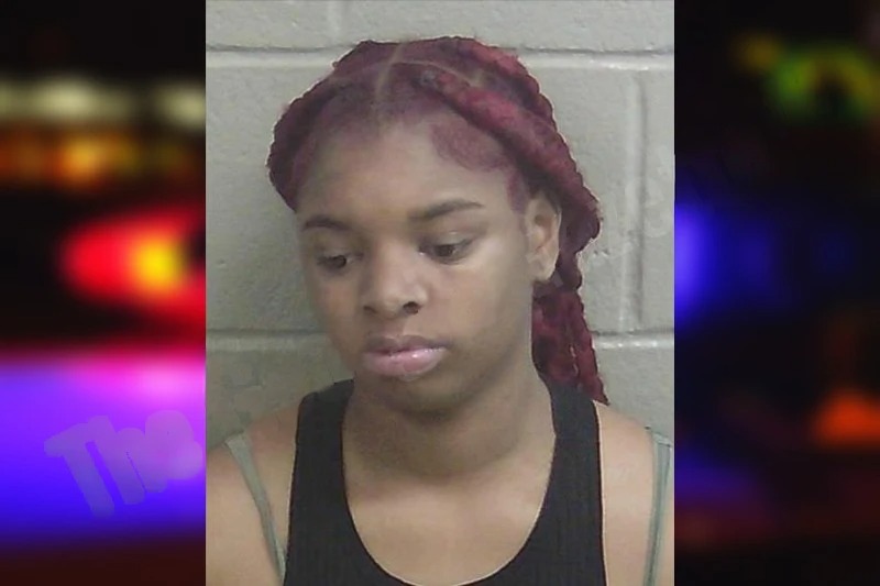 Steffanie Nelson Mugshots