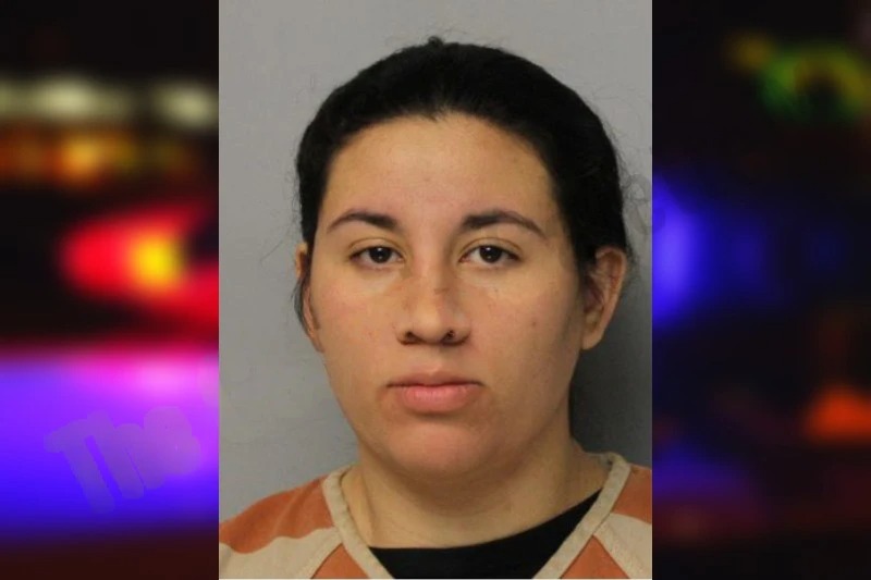 Stephania Correa Mugshots