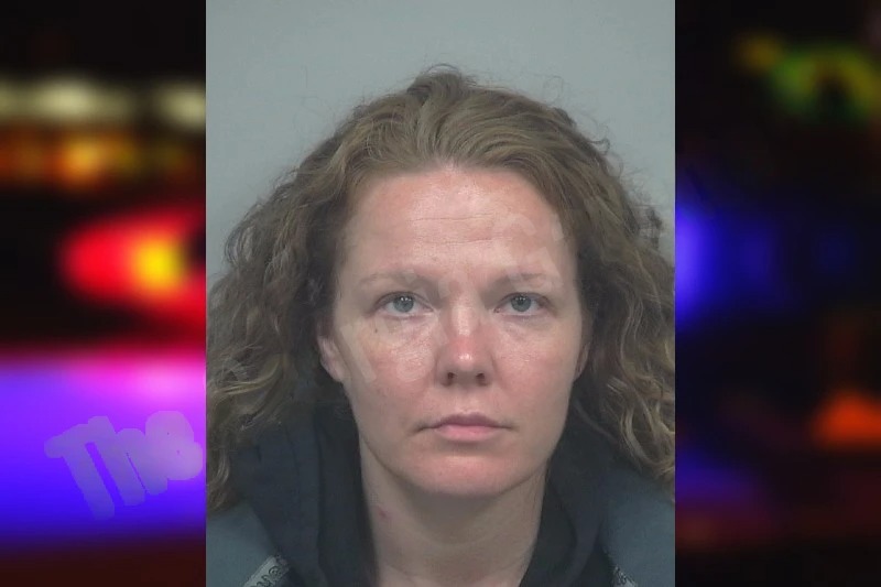 Stephanie Able mugshot – Gwinnett County , Georgia Stephanie Able mugshot