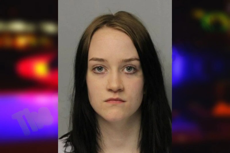 Stephanie Barnett mugshot – Hall County , Georgia Stephanie Barnett mugshot