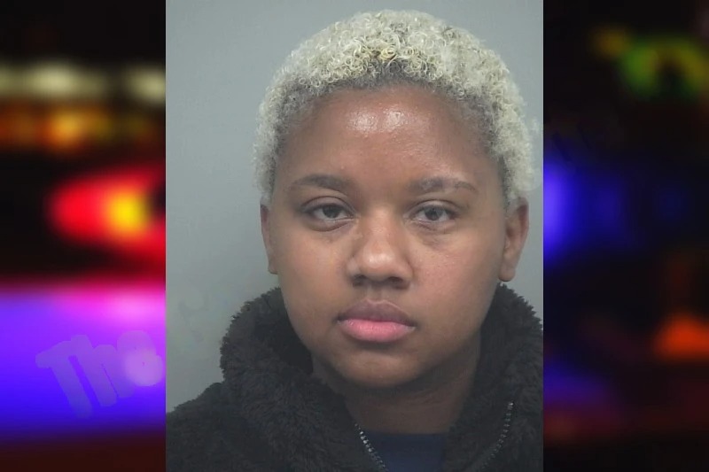 Stephanie Gray mugshot – Gwinnett County , Georgia Stephanie Gray mugshot