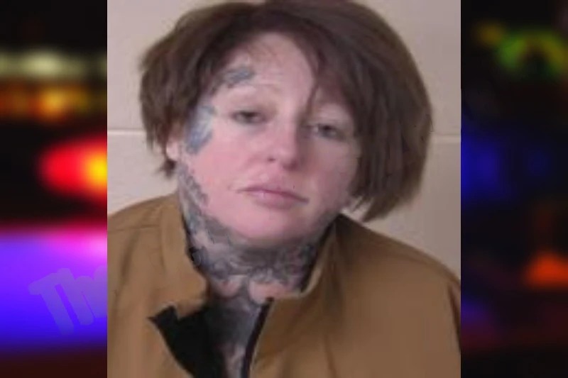 Stephanie Johnson Mugshots