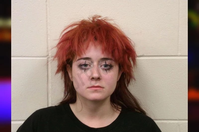 Stephanie Lowery Mugshots