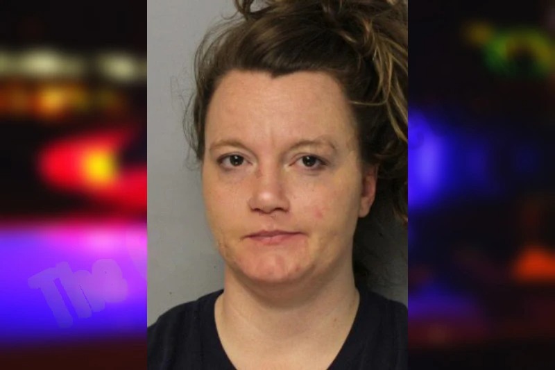 Stephanie Palmer Mugshots