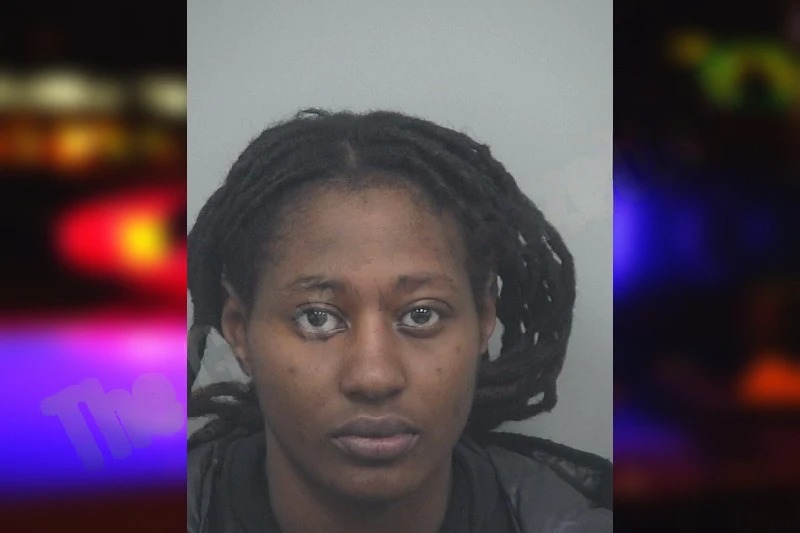 Stephanie Reed mugshot