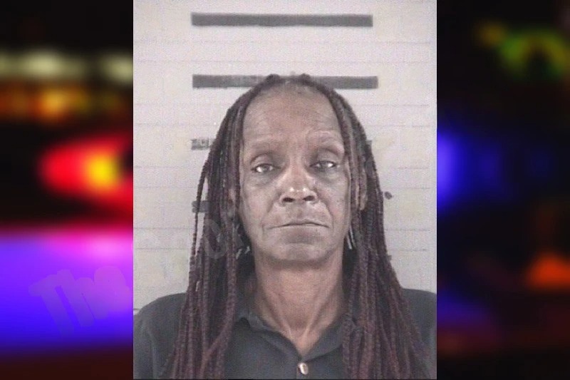 Stephanie Washington Mugshots