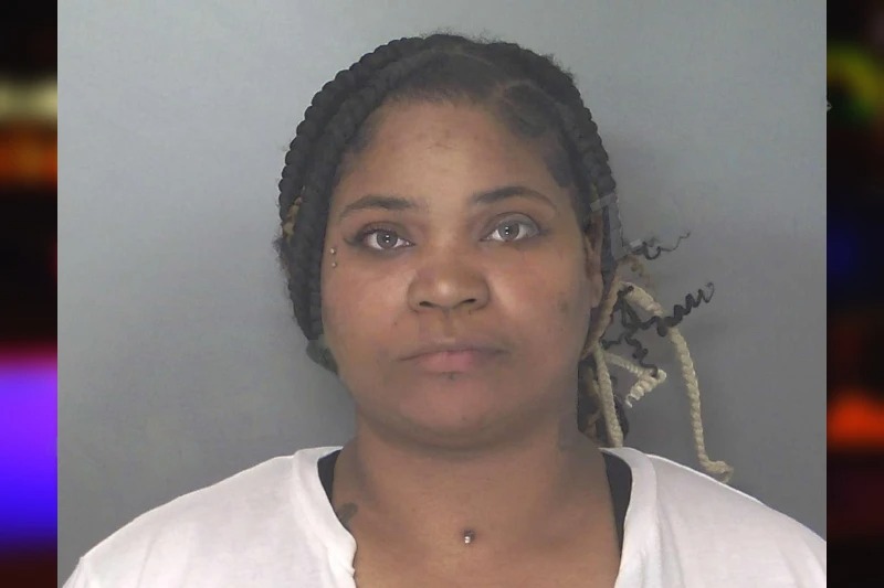 Stephanie White mugshot