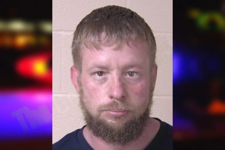 Stephen Brown mugshot – Chatham County , Georgia Stephen Brown