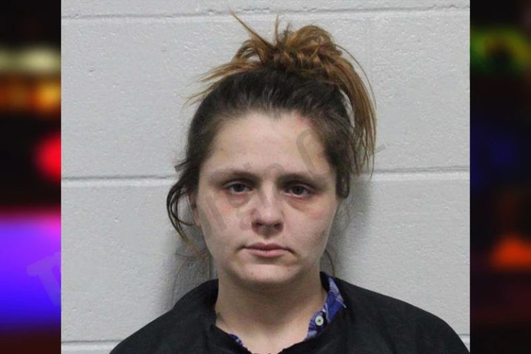 Stephine Boyd mugshot – Habersham County , Georgia Stephine Boyd