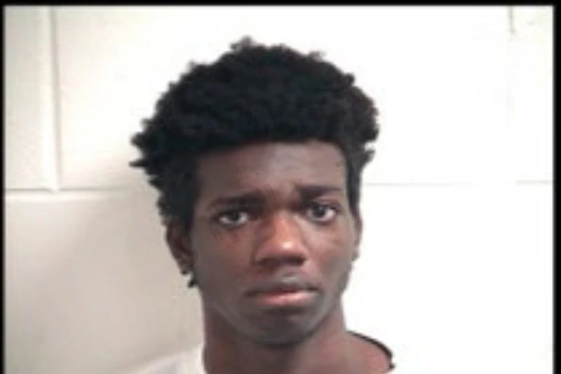 Steve Francois mugshot