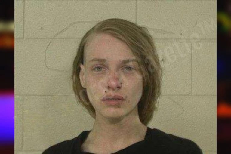 Stormie Evans mugshot – Liberty County , Georgia Stormie Evans