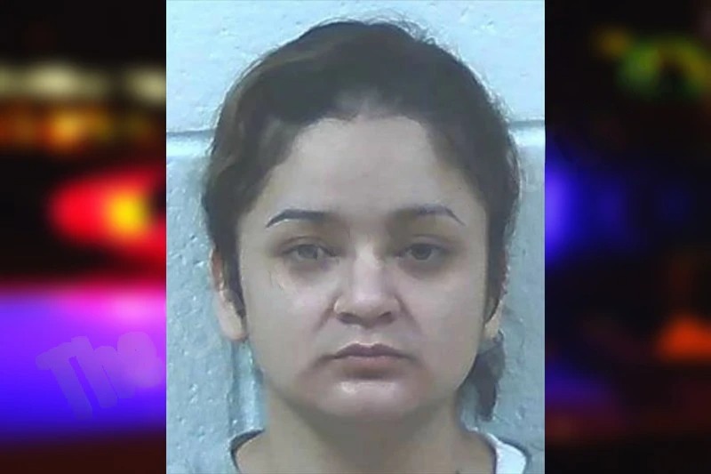 Sugey Castro-Solis mugshot