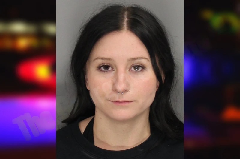 Summer Gilbert mugshot – Cobb County , Georgia Summer Gilbert mugshot