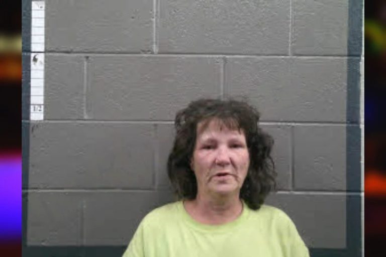 Susan Fisher mugshot – Banks County , Georgia Susan Fisher