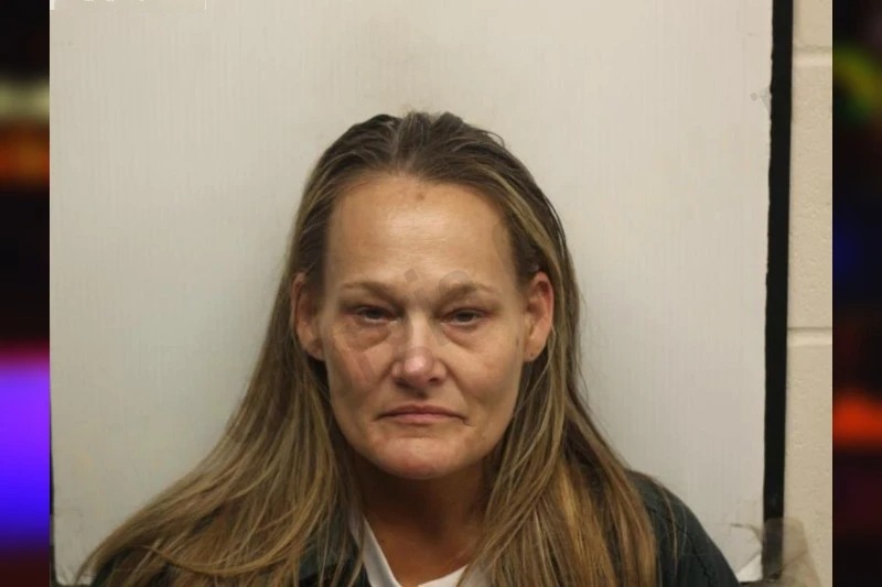 Susan Herrin Mugshots