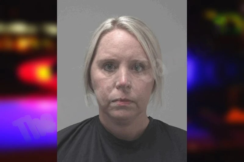 Susan Neeley Mugshots