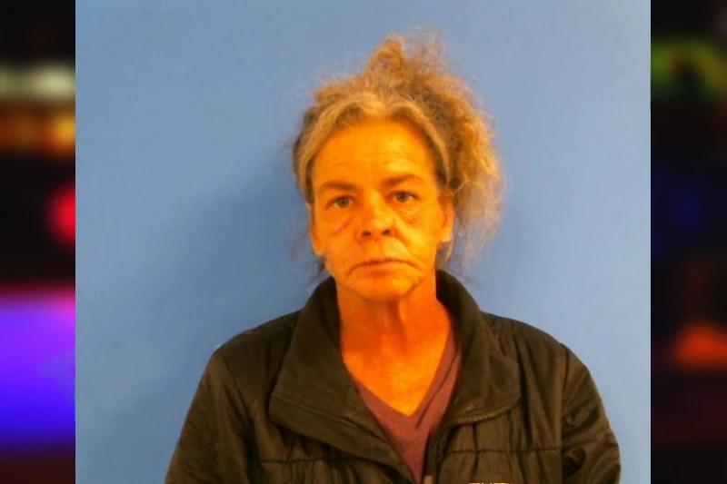 Susan Sivell mugshot