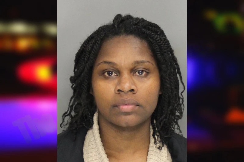 Suxandre Boliere Mugshots