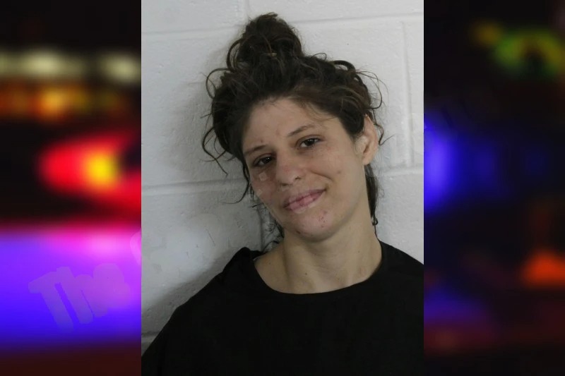 Sylvia Sullins mugshot