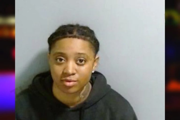 T’Erica Chappell mugshot – Fulton County , Georgia T’Erica Chappell