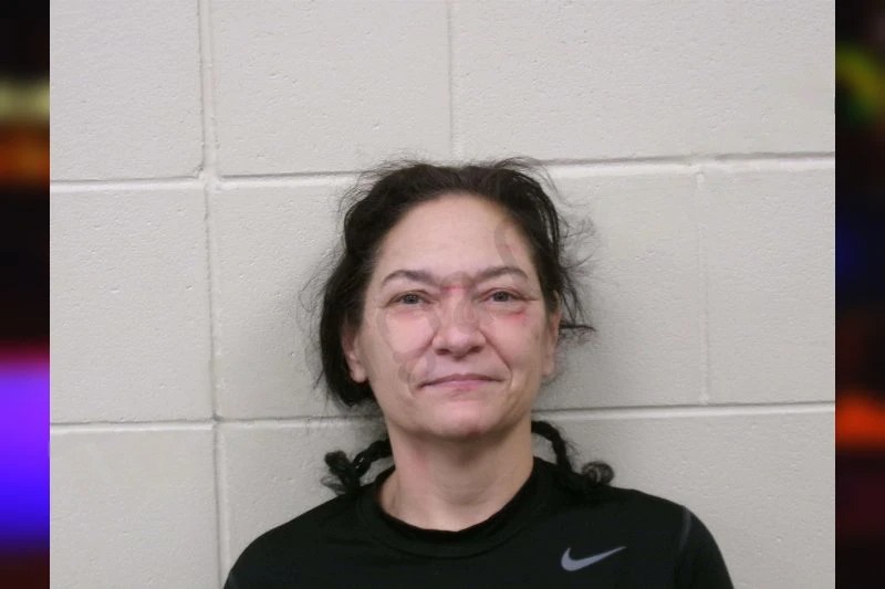 Tabitha Bailey Mugshots