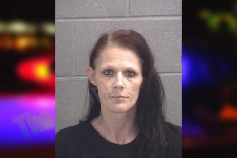 Tabitha Davis mugshot – Spalding County , Georgia Tabitha Davis mugshot