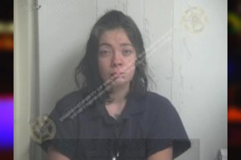 Tabitha Phillips Mugshots