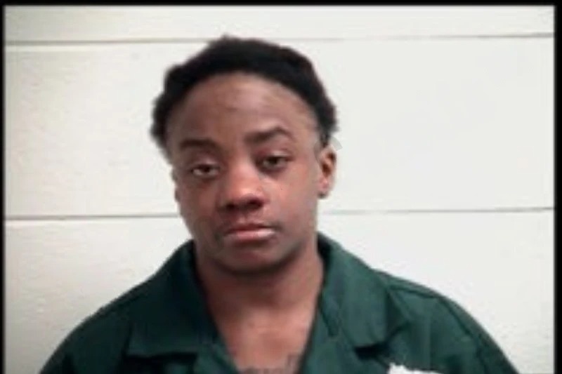 Takia Brimidge mugshot – Henry County , Georgia Takia Brimidge mugshot
