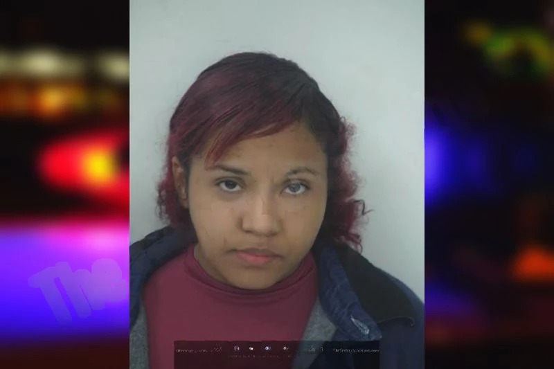 Talya Cedillo mugshot – Fayette County , Georgia Talya Cedillo mugshot