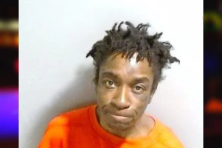 Tamara Rekhi mugshot – Fulton County , Georgia Tamara Rekhi