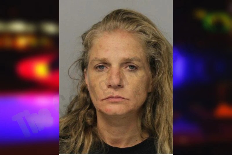 Tameka Norris Mugshots