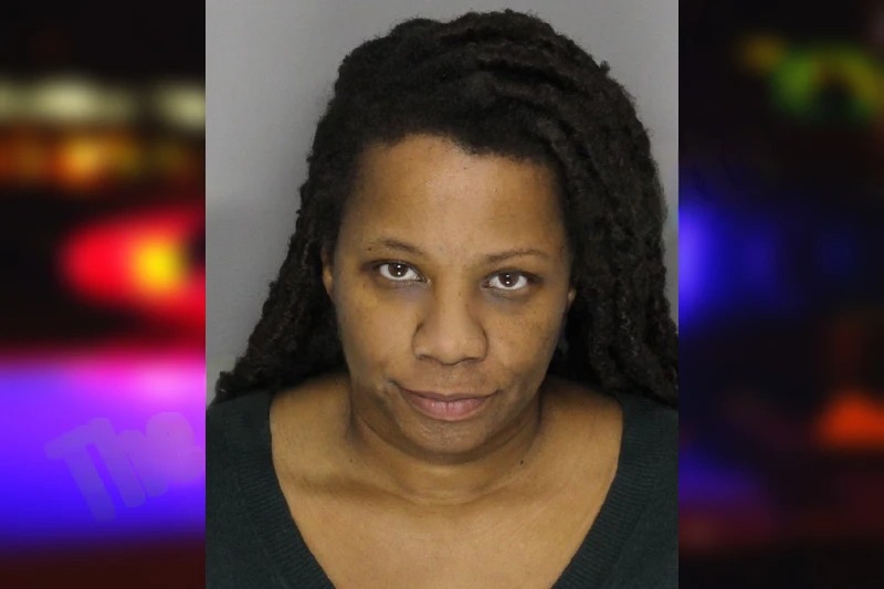 Tamika Simmons mugshot