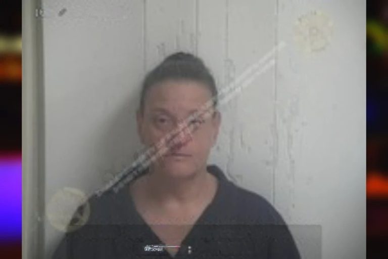 Tammy Casteel mugshot – Walton County , Georgia Tammy Casteel