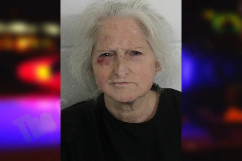 Tammy Norris mugshot – Floyd County , Georgia Tammy Norris mugshot