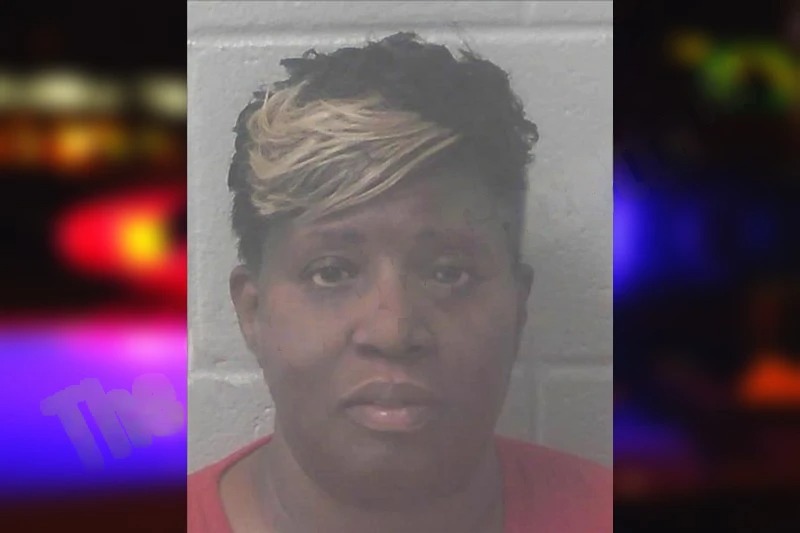 Tammy Robinson mugshot – Newton County , Georgia Tammy Robinson mugshot