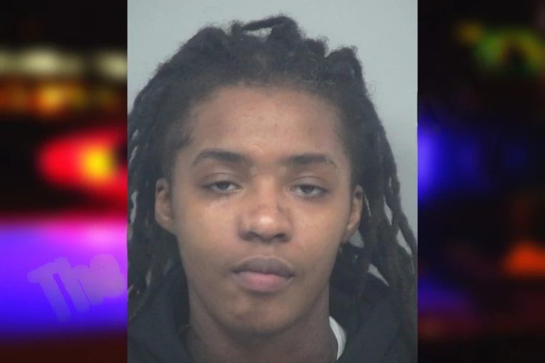 Tanasia Rayner mugshot – Wayne County , Georgia Tanasia Rayner