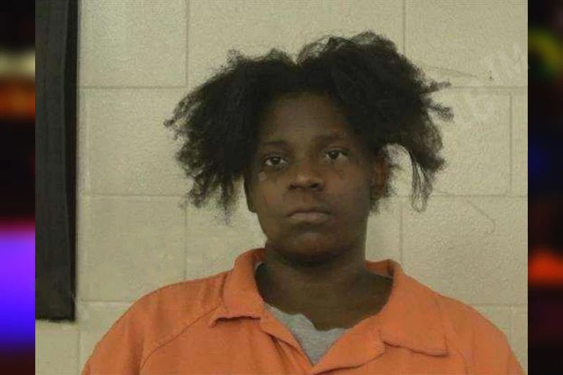 Tangela Hamilton mugshot