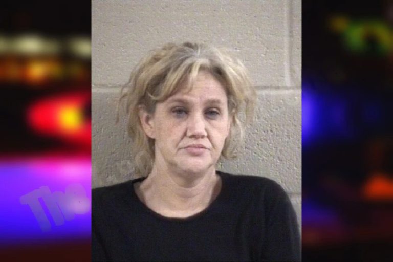 Tara Brown mugshot – Whitfield County , Georgia Tara Brown