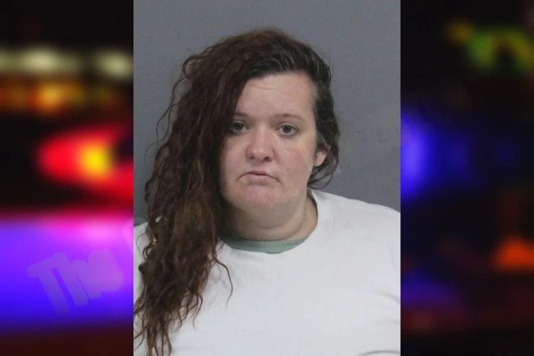 Tara Manning mugshot – Catoosa County , Georgia Tara Manning