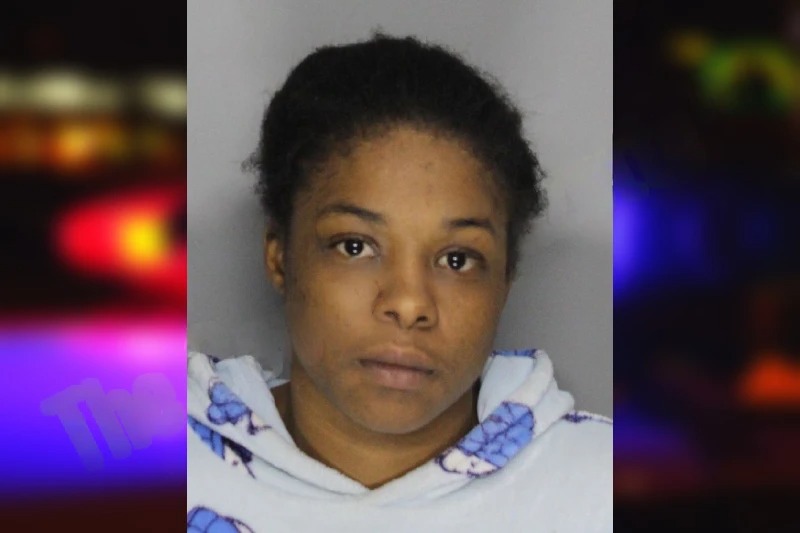 Tashara Frison Mugshots