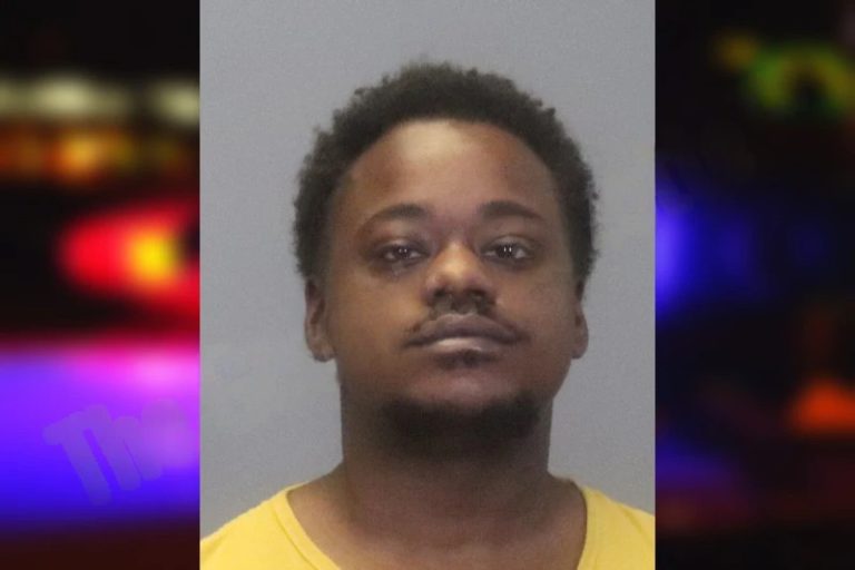 Taylor Bland mugshot – Houston County , Georgia Taylor Bland