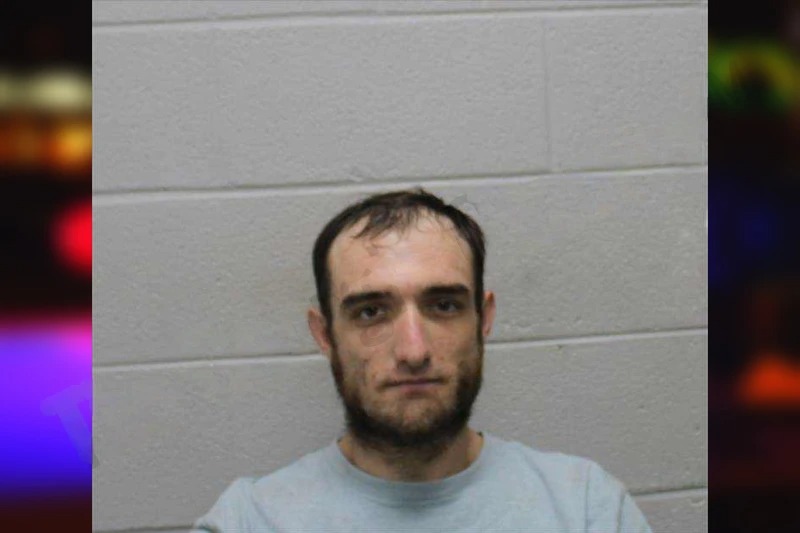 Taylor Hamby Mugshots